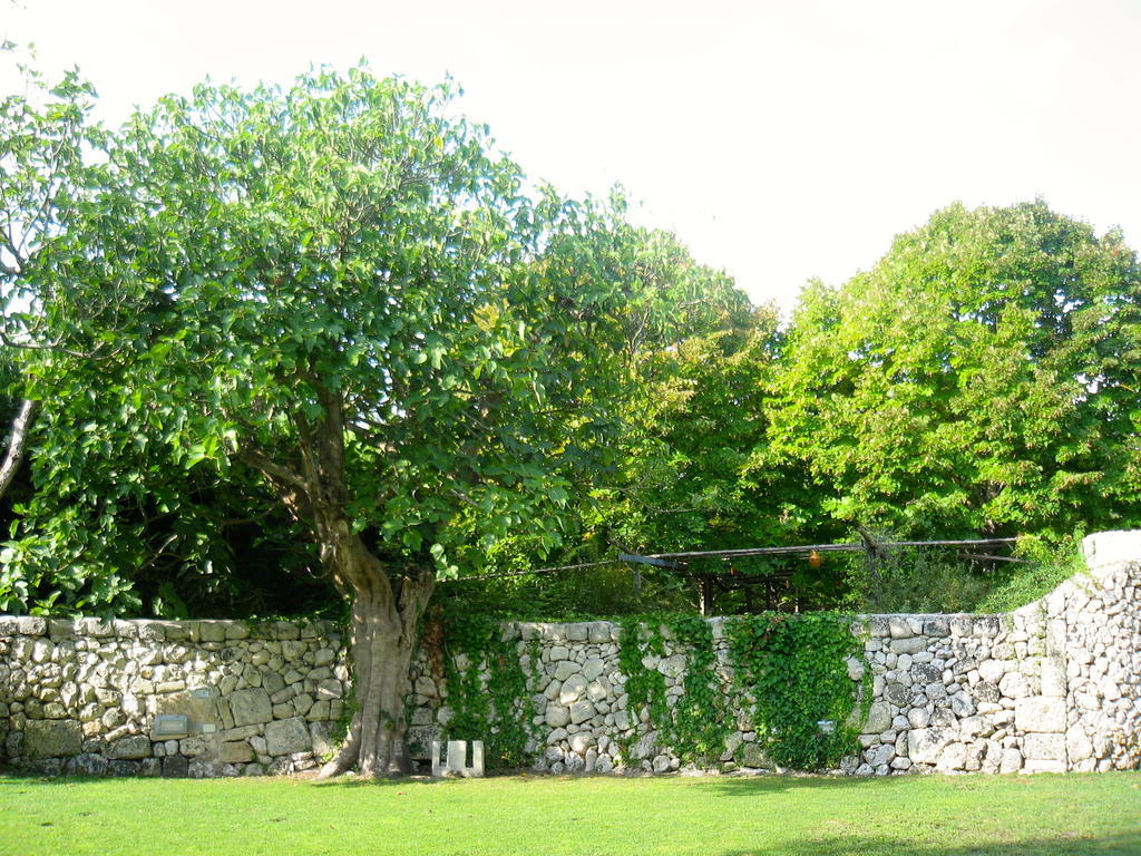 Tenuta Sant'Andrea Giuggianello 外观 照片