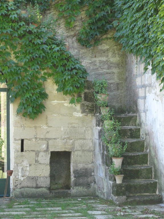 Tenuta Sant'Andrea Giuggianello 外观 照片